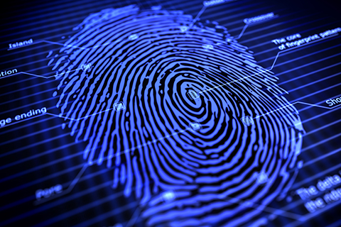 Fingerprint