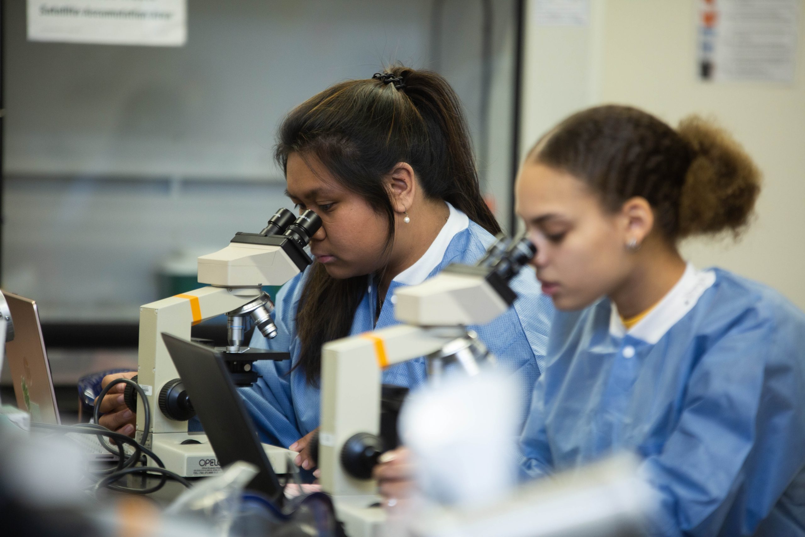 Medical Laboratory Science